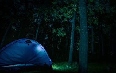 Illuminated tent in night leaf wood