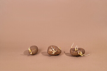 Sprouted vegetable potatoes.