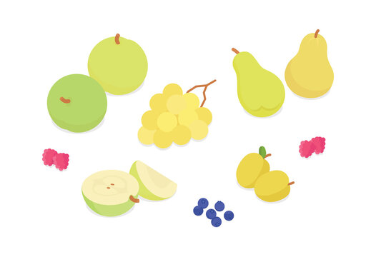 Fruit set. Isometric vector illustration in flat design.