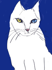 cat sketch drawing