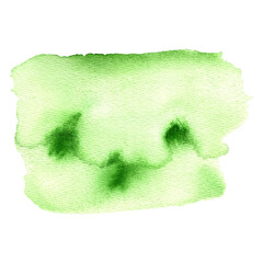 Light green watercolor background.Watercolor hand painted illustration isolated on white background.