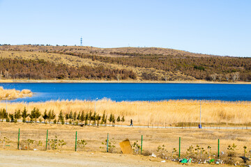 Fototapete bei efototapeten.de bestellen   