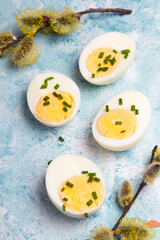 Easter background with hard boiled egg and catkin twigs, copy space