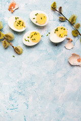 Fototapeta na wymiar Easter background with hard boiled egg and catkin twigs, copy space