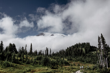 mt rainier