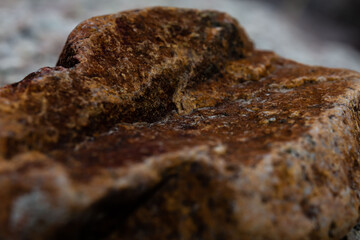 close up of bread with seeds