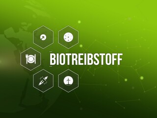 Biotreibstoff