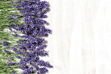 Fresh lavender flowers bright wooden background