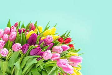 Obraz premium Tulip Flowers Spring bouquet turquoise background
