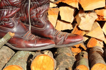 Stiefel Western Styl