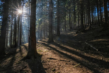 Obraz premium Sunny morning in Low Tatras mountains, Slovakia