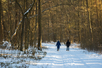 Two people in the woods, Kampinos National Park (Kampinoski Park Narodowy), Mazovia, Poland.