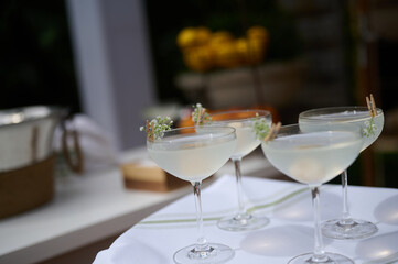 Focus on four glasses of cocktails on a tray, garnished with herbs