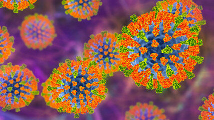 Measles viruses, illustration - obrazy, fototapety, plakaty