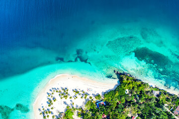 Fototapeta na wymiar Vacation background. Aerial drone view of beautiful caribbean tropical island Cayo Levantado beach with palms. Bacardi Island, Dominican Republic.