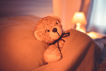 Cute wool teddy bear is lying in the bed