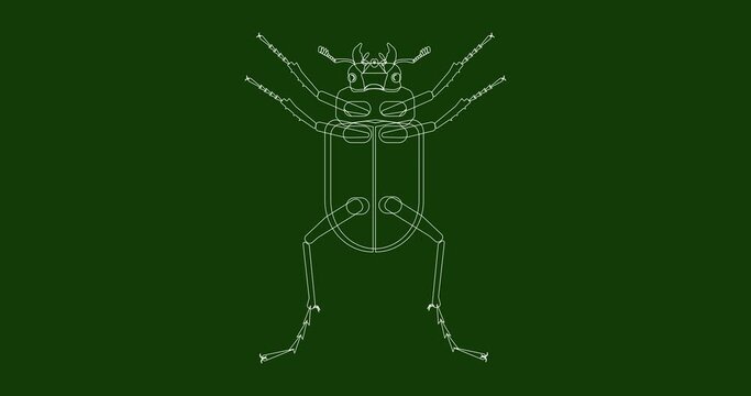 Linear loader with insect beetle deer. A stag beetle is drawn with white lines on a green background. Then it is filled with flowers.