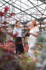 Greenhouse owner presenting flowers options to a potential customer retailer. They have a business discussion, planning future collaboration while noting and negotiating conditions