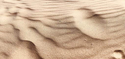 Fototapeta na wymiar Sand von Bondi Beach, Australien