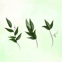 Botanica y plantas en acuarela