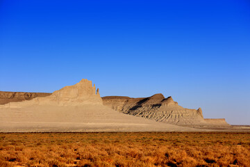 Expedition on Boszhira tract, Western Kazakhstan