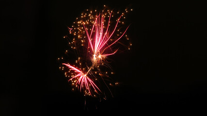 Pink fireworks 