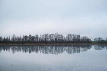 Picturesque winter landscape of frozen trees and reflection in the lake. Selective focus