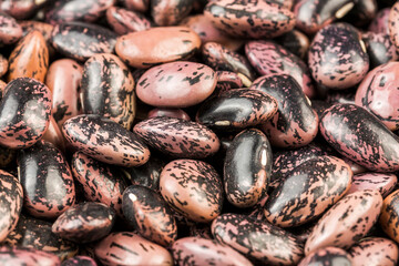 Organic dried beans, on the farmers market. Healthy vegan food.