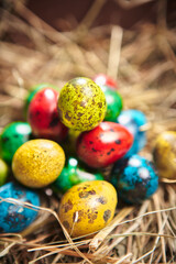 Easter card. Colourful quail eggs on hay. Celebrating spring christian religious traditional holiday