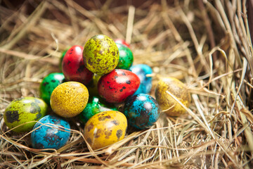 Fototapeta na wymiar Easter postcard. Colourful festive quail eggs on hay. Christian religious holiday tradition
