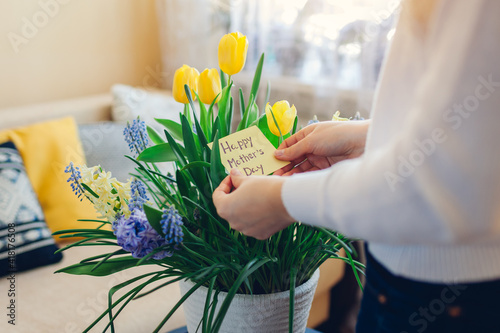 Mother's day present. Woman holds greeting card with blooming spring yellow blue flowers at home