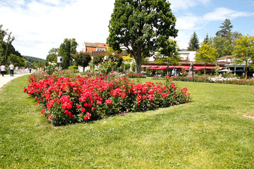 Rosengarten in Bad Kissingen. Bayern, Deutschland, Europa 
Rose garden in Bad Kissingen. Bavaria,...