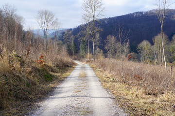 Fototapeta na wymiar Radweg oder Wanderweg im Leinebergland im Frühling