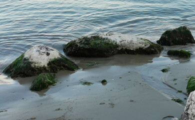Scogli sulla spiaggia bagnati dal mare e coperti di alghe
