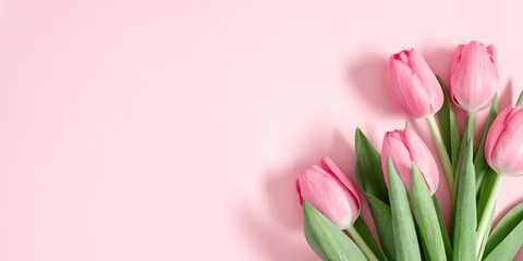 Beautiful pink tulips on pastel pink background. Concept Women's Day, March 8. 8th march. Spring background. Flat lay, top view, copy space