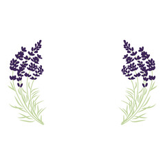 lavender flower frame, vector