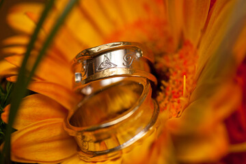 Wedding rings on a bright orange gerbera flower. High quality photo
