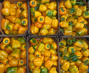 Bell pepper. Heap of fresh sweet  peppers  in cardboard boxes for sale on farming market. Vegetables background 