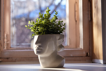 Vase in the shape of a face with greenery © Мария Чичина