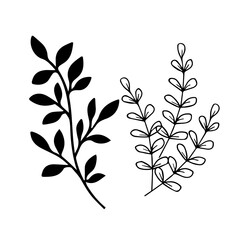 vector illustration line art background vintage graphic design black nature decoration leaf...
