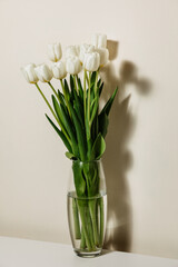 Bouquet of white fresh tulips, beautiful spring flowers, free space, fresh bouquet isolated on background