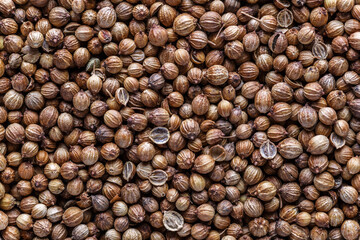 Pile of Coriander seeds. A mixture of different spices close up. Textures of colorful spices and condiments.Colorful Herbal and Spices Oriental.Various Indian spices