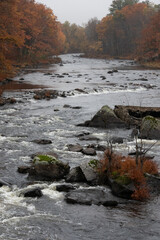 stream in the forest