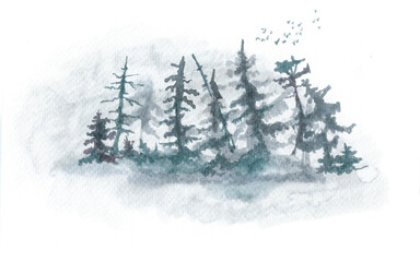 Misty spruce forest painted with watercolor markers on paper. Book illustration, watercolor background, cover, screensaver, beautiful wallpaper, design.