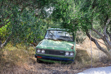 Fototapeta na wymiar Abandoned car is parked in an olive grove