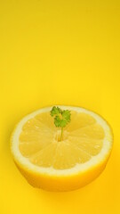 Half of the cut lemon isolated on yellow with parsley top