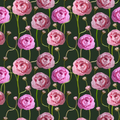 Ranunculas pink seamless pattern