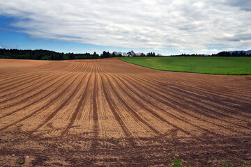 Fototapeta na wymiar Landscape with cultivated field