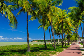 Cabo Branco beach with white sands and coconut grove in João Pessoa, Paraíba State, Brazil on...