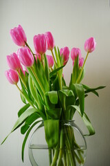 Bouquet of pink tulips in a glass vase filled with water